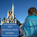 A girl in a princess dress on her father's shoulders looking at Cinderella Castle.