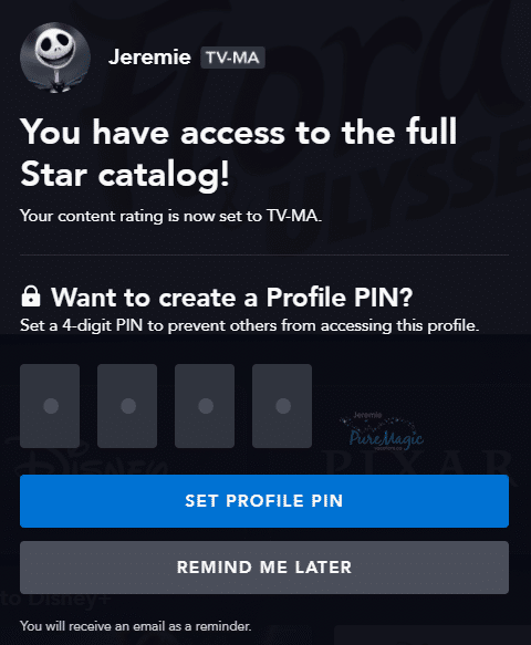 With access to the full Star catalog you are given the option to add a profile pin.