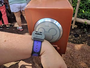 Scan your MagicBand at Walt Disney World Resort for park admission, Fastpass, Photopass, payments, and room entry.