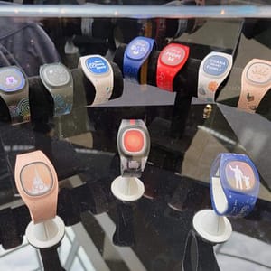 Displayed are a few of the 25 MagicBand+ designs that will be available.