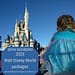 A girl in a princess dress on her father's shoulders looking at Cinderella Castle.