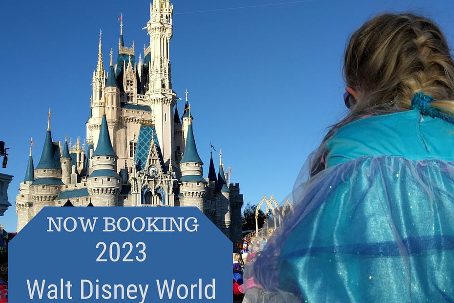 A girl in a princess dress on her father's shoulders looking at Cinderella Castle.